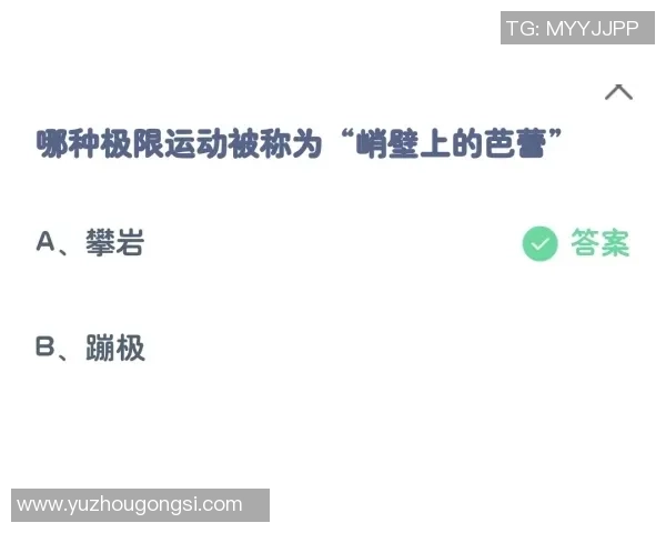 广州极限运动队区域防守分析与战术得失评估