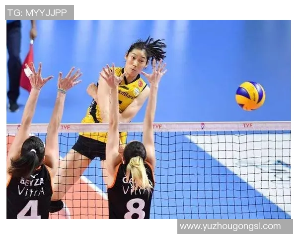 深度对话刘秀英的排球人生与奋斗历程的启示与反思